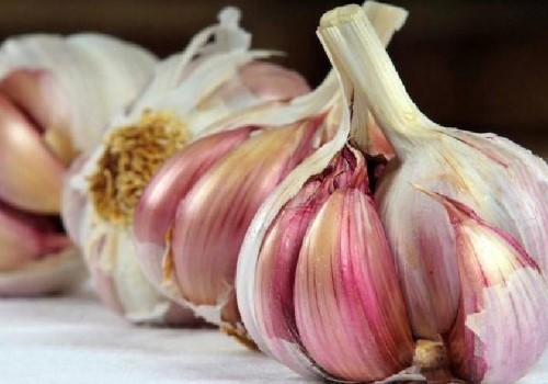 تصویر 8 از سیر بنفش با طعم ملایم و بافت سفت و پوست سالم